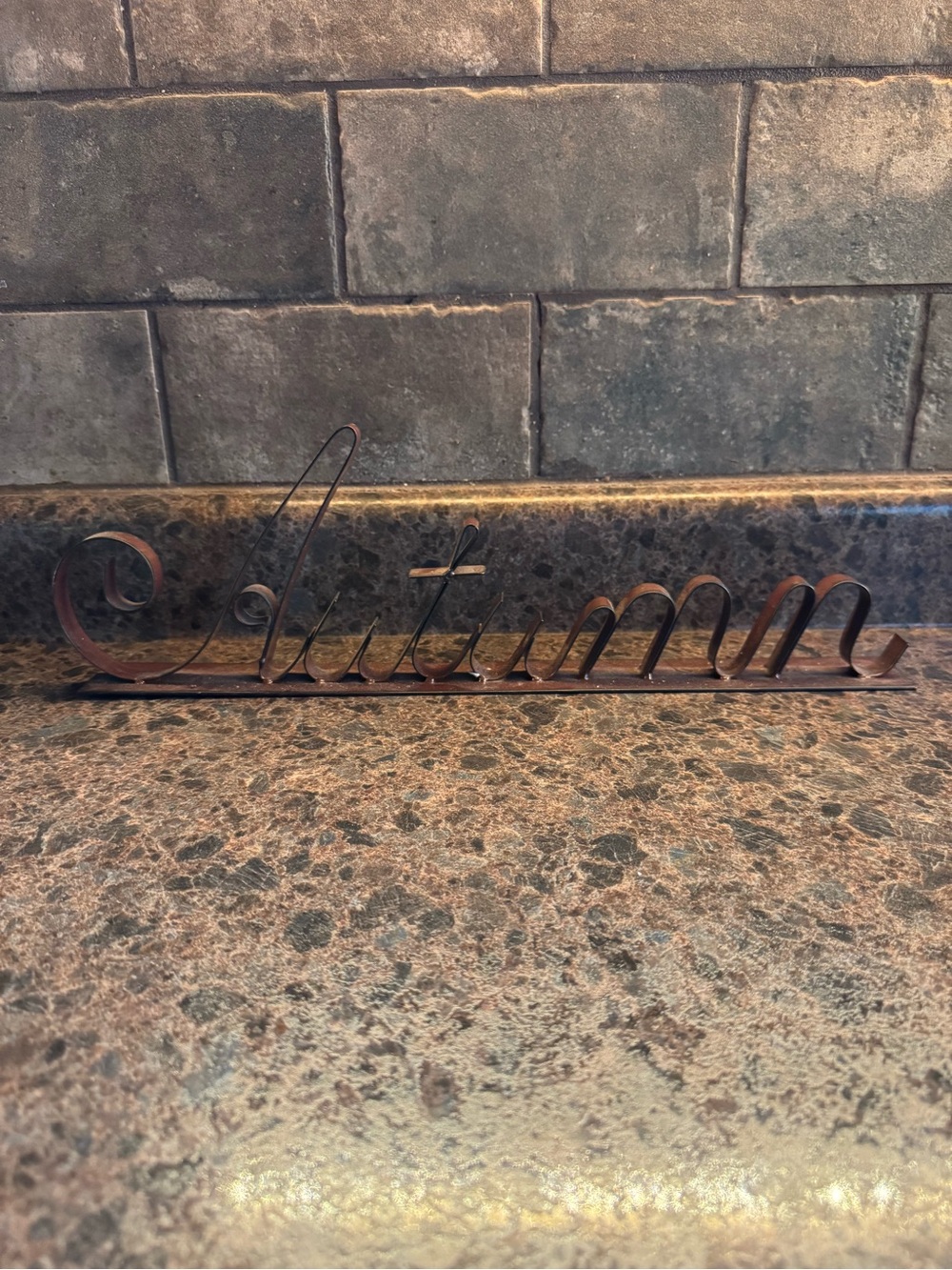 16” Autumn Metal Decor - Rustic Brown